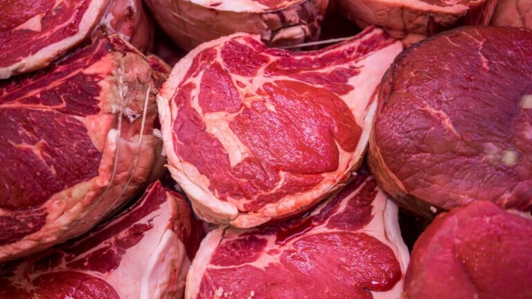 Las exportaciones de carne alcanzaron el volumen más alto en 57 años pero el consumo interno sigue en caída imagen-45