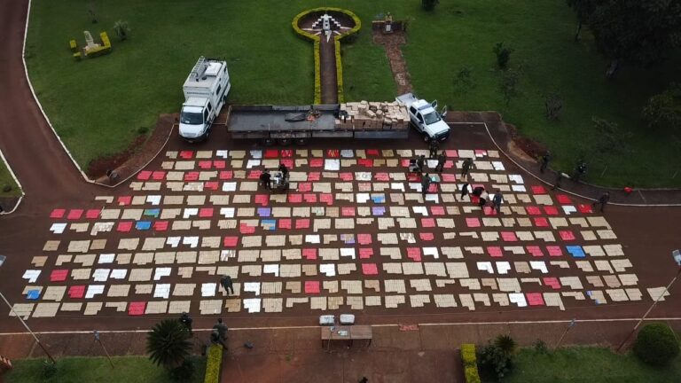 Tras balacera gendarmes secuestran más de 7 toneladas de marihuana transportados en un camión de bandera brasileña imagen-47