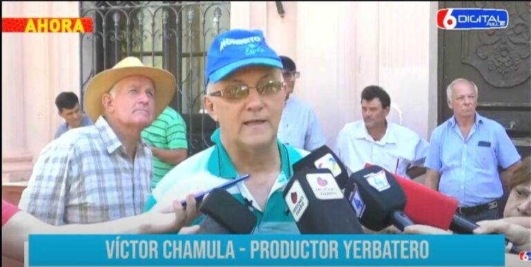 Grupo de productores yerbateros expuso la problemática del sector y preocupación por el precio ante el inicio de la zafriña imagen-21