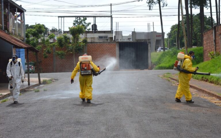 Posadas refuerza la lucha contra el dengue con operativos activos para proteger la salud pública imagen-50