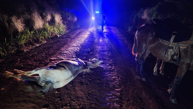 Tras el choque de una moto, sufrió graves lesiones el menor que iba a caballo en Guaraní imagen-30