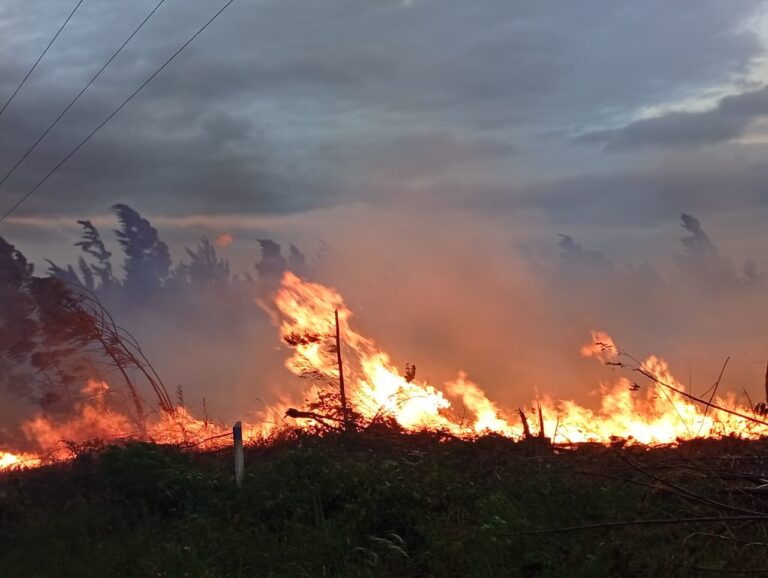 Misiones refuerza la prevención de incendios ante el aumento de las temperaturas imagen-31