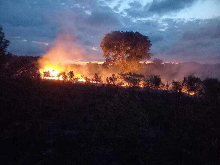 Bomberos Policiales extinguieron un incendio de unas dos hectáreas de malezas la zona Centro imagen-44