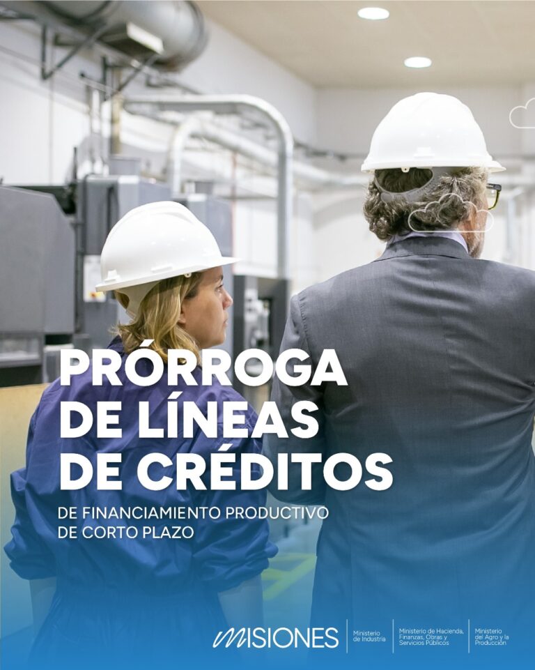 Passalacqua anunció la prórroga de líneas de créditos destinadas al financiamiento productivo de Misiones imagen-27