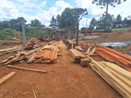 Apeo ilegal: La fuerza provincial secuestró rollos de madera nativa imagen-5