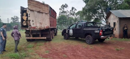 Incautan una carga de madera nativa sin papeles que era transportada entre postes de eucaliptus imagen-4