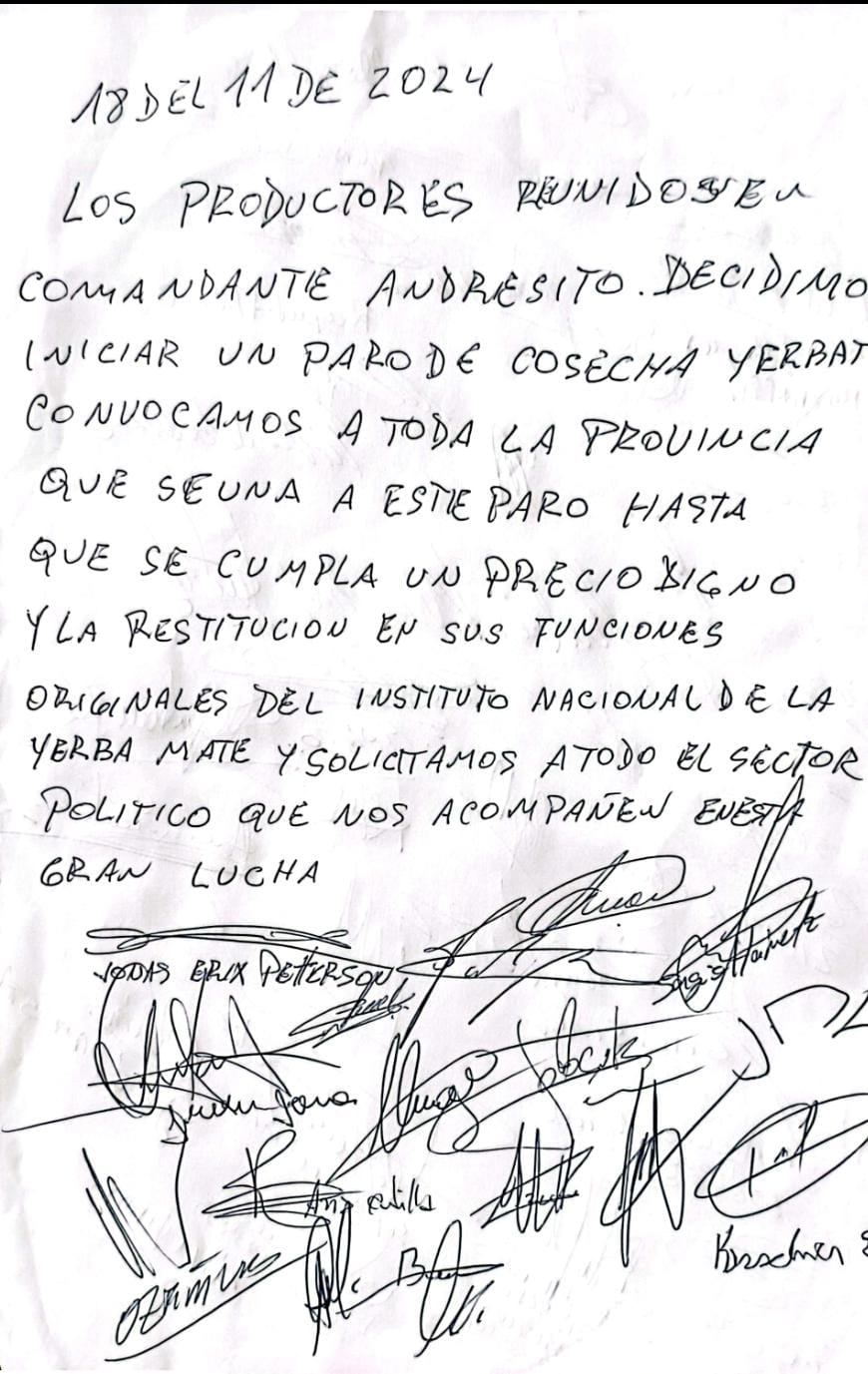 Productores agrarios del Norte provincial no cosecharán yerba mate "hasta que se cumpla un precio digno" imagen-2