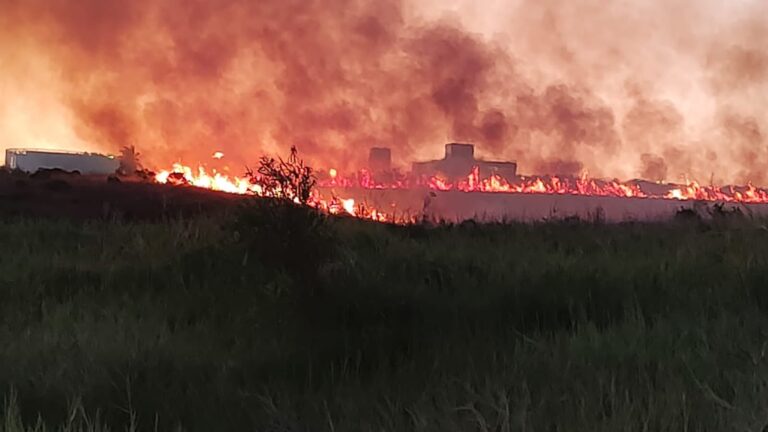 Incendio en el acceso oeste de Posadas: Sospechan de un acto intencional y prometen acciones legales imagen-36