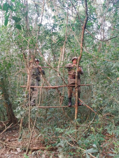 Advierten que las bandas de cazadores furtivos que entran a Misiones desde el Brasil son cada vez más violentas y peligrosas imagen-6