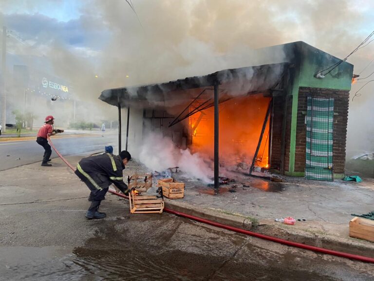 Posadas: incendio destruyó una verdulería en avenidas Las Heras y Santa Cruz imagen-32