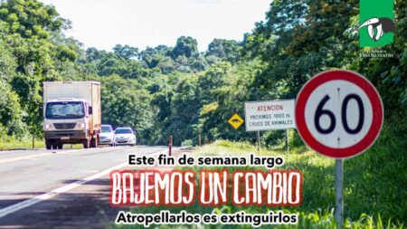 "Bajemos un cambio" para preservar la fauna: recuerdan la necesidad de respetar los límites de velocidad imagen-9