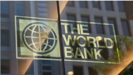 El Banco Mundial aprobó un crédito por u$s1.000 millones para Argentina imagen-9