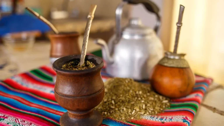 Día Nacional del Mate: ¿por qué se celebra este martes 30 de noviembre? imagen-49