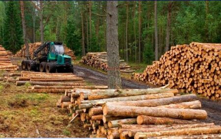 Posadas será sede del Encuentro Tecnológico Foresto-Industrial del Conicet imagen-9