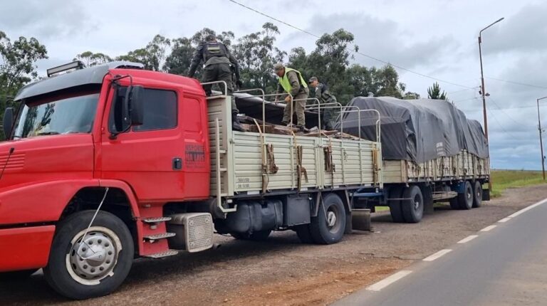 Camión transportaba desde Santa Fe metales valuados en $177 millones con destino Aristóbulo del Valle imagen-47