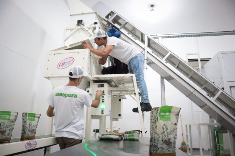 Misiones también se adelanta en el crecimiento imagen-8