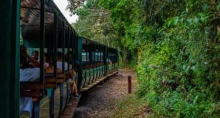 Vacaciones en Cataratas: cuánto cuesta pasear en el tren ecológico que recorre la selva misionera Vacaciones en Cataratas: cuánto cuesta pasear en el tren ecológico que recorre la selva misionera imagen-6