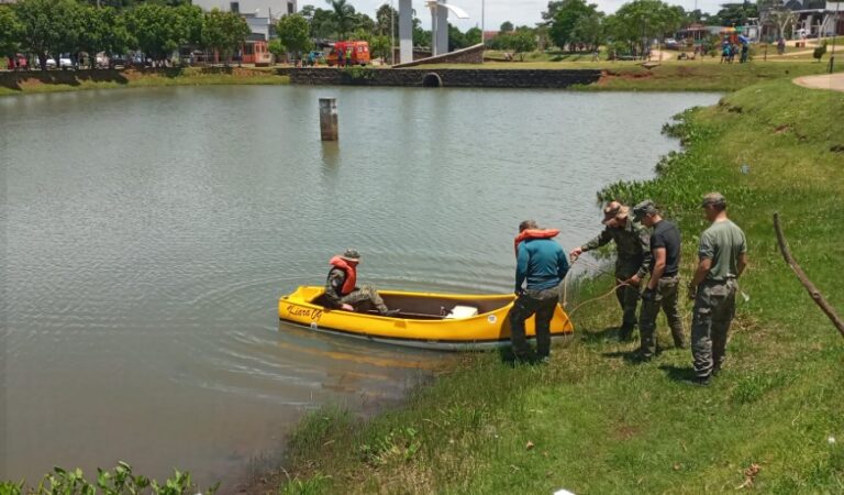 Irigoyen: operativo para rescatar a un yacaré en el Lago Internacional de la Amistad imagen-37