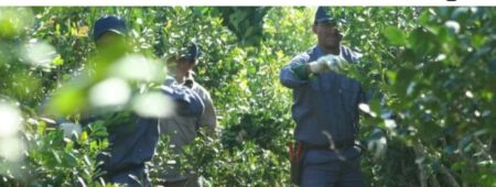 Fiesta de la Yerba Mate: Jornada Tecnológica en la Expo Yerba de Apóstoles, este jueves Fiesta de la Yerba Mate: Jornada Tecnológica en la Expo Yerba de Apóstoles, este jueves imagen-5