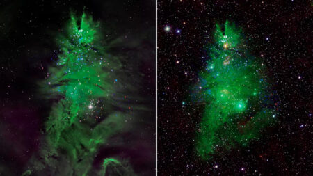 La Nasa celebró la Navidad: así luce el impresionante árbol del cosmos que iluminó el universo imagen-3