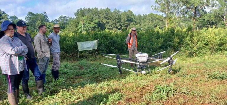 Demostración de uso de drones para aplicaciones en yerbales en chacras misioneras imagen-32