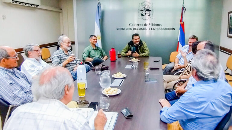 Ministro del Agro asume la Presidencia del Aglomerado Productivo Forestal de Misiones imagen-31