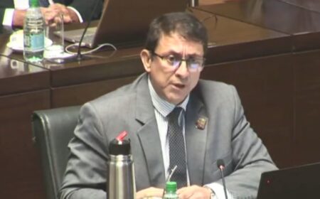 Cesino destacó la gestión de Herrera Ahuad como presidente de la Legislatura al proponer su reelección imagen-3