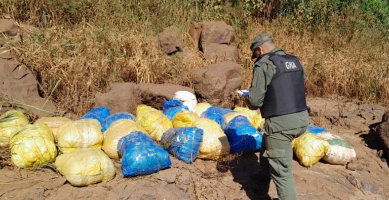 Decomisaron más de 200 kilos de marihuana en Misiones: Gendarmes detectaron carga ilegal en Puerto Esperanza imagen-16