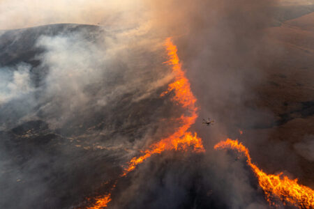 2024 llega a su fin con los peores incendios forestales a nivel continental imagen-11