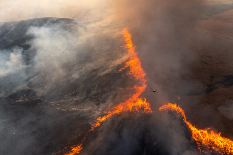 2024 llega a su fin con los peores incendios forestales a nivel continental imagen-15