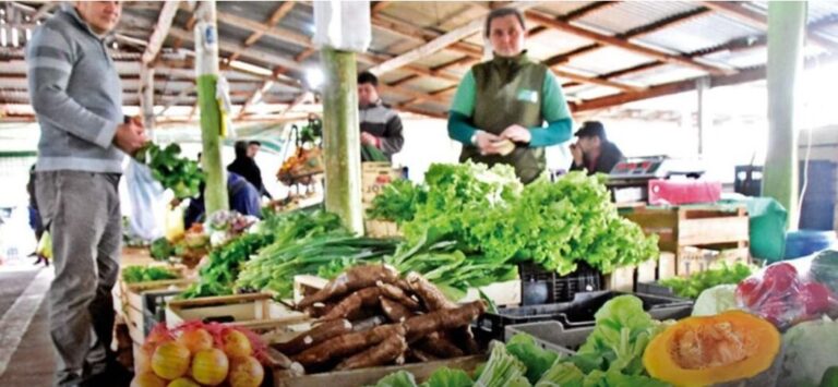 En noviembre, el índice de precios de Ferias Francas en Posadas aumentó un 1,4 por ciento imagen-47