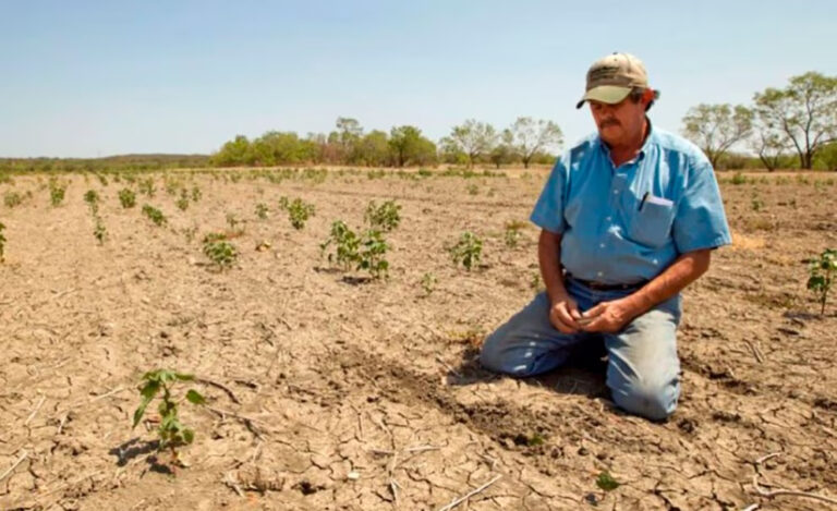 El 33% de los suelos del mundo están degradados: cuáles son las soluciones científicas para mitigarlo imagen-10