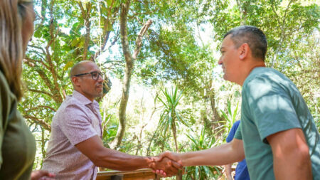 Misiones, un destino de preferencia Misiones, un destino de preferencia imagen-7