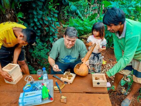 Fomentan la meliponicultura como herramienta de desarrollo sostenible en comunidades guaraníes imagen-5