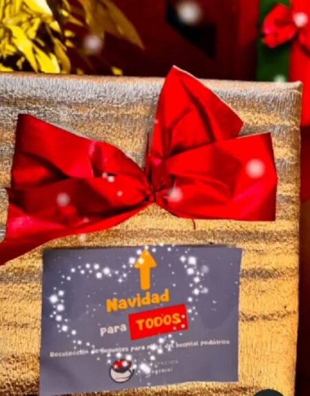 En el Mercado Concentrador del IMaC recolectan juguetes para la Navidad imagen-6