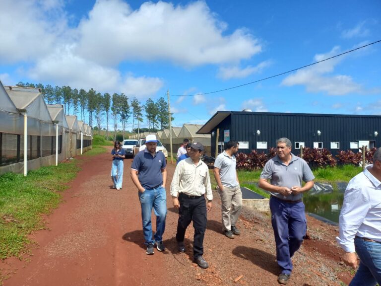 El Centro de Producción y Validación de Tecnologías Hortícolas de San Vicente es modelo en la región imagen-48