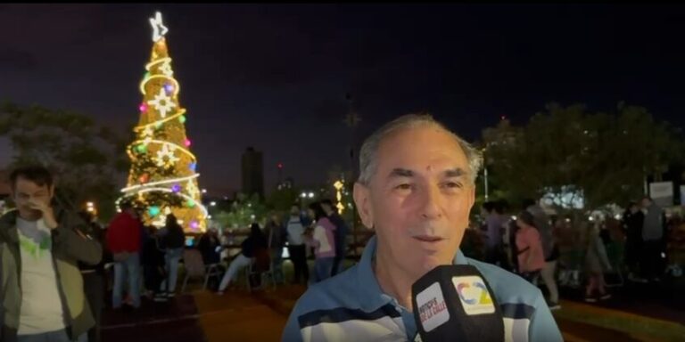 Posadas iluminó su árbol navideño y se alista para un verano lleno de festivales y actividades culturales imagen-24