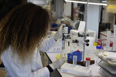 El 40% de los argentinos cree que el título universitario será menos importante para conseguir empleo a futuro imagen-8