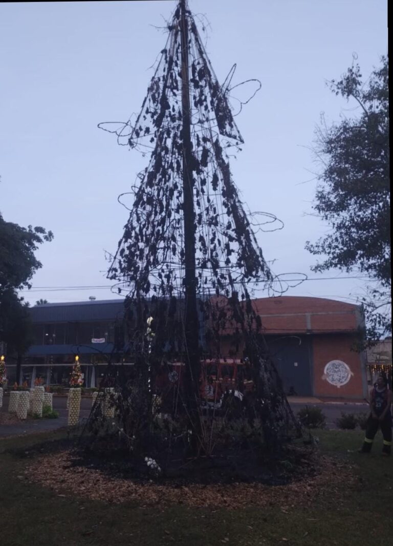 Ardió el arbolito navideño de la plaza central de Capioví imagen-14