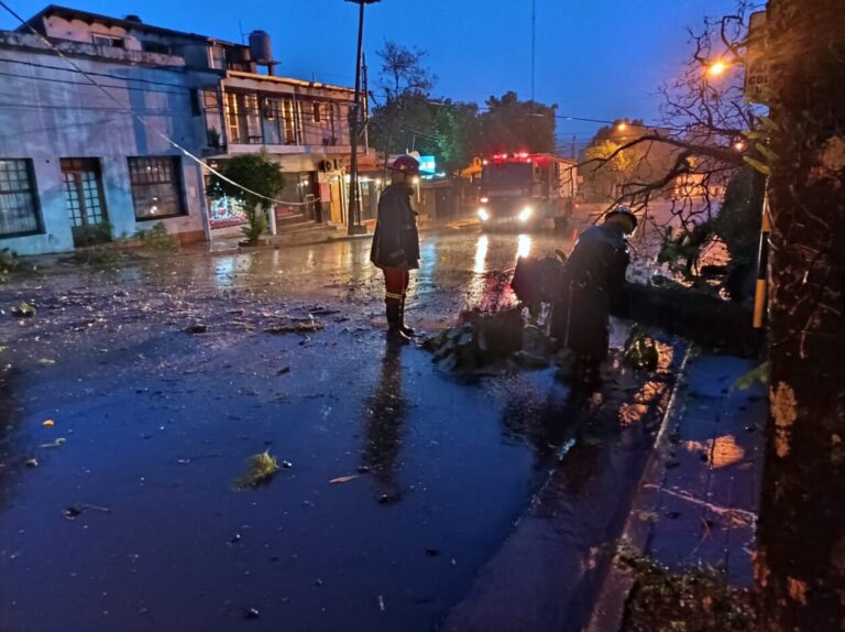 Tormenta: cortes de energía eléctrica en la zona Centro y caída de un árbol imagen-33