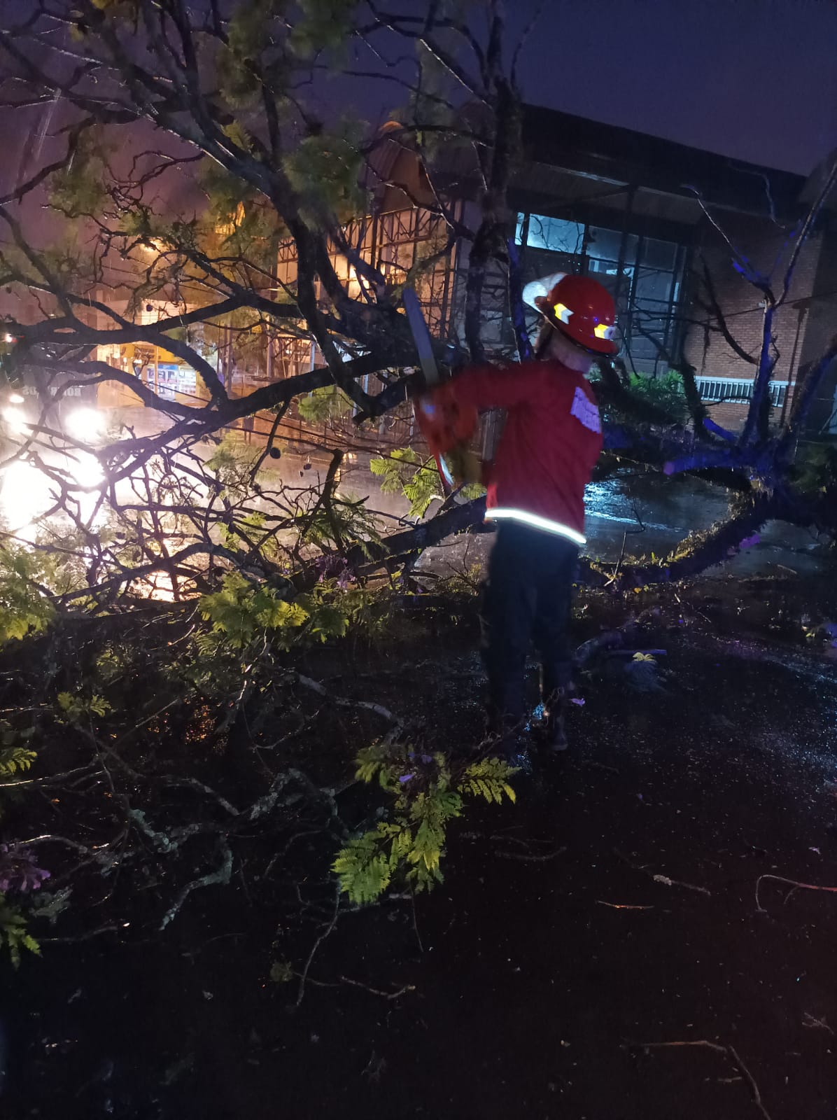 Tormenta: cortes de energía eléctrica en la zona Centro y caída de un árbol imagen-2