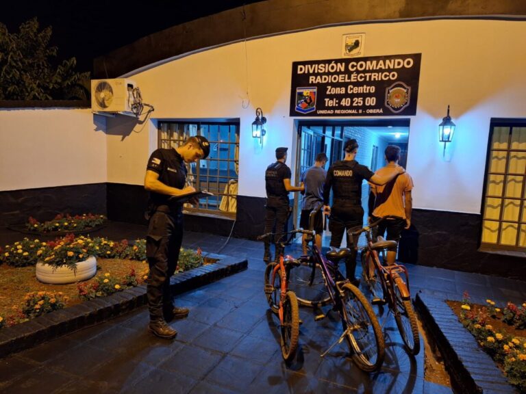 Saltaron un muro y se robaron tres bicicletas: en menos de 30 minutos fueron detenidos imagen-43