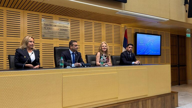 Cibercrimen: "Todos debemos involucrarnos en la capacitación de la materia", dijo la titular del STJ en la presentación de Digital Proyect imagen-48