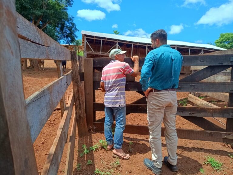 Inspeccionaron dos "feedlots" de El Soberbio que presentaron ante Ecología su respectivo Estudio de Impacto Ambiental imagen-37