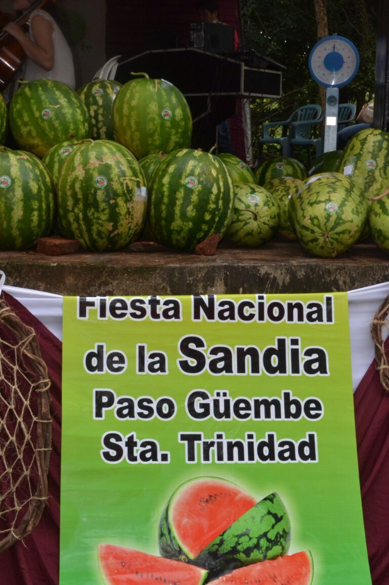 Paraguay: la sandía, reina del verano en la región, tiene su fiesta en Itapúa con un particular concurso imagen-30