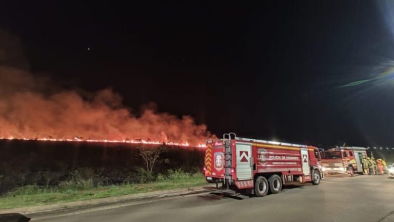 Piden a misioneros y turistas tomar todos los recaudos para minimizar los riesgos de incendios durante la temporada de altas temperaturas imagen-10