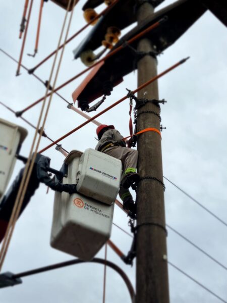 Energía de Misiones realiza cambio de aisladores y mantenimiento en líneas de la zona Oeste de Posadas imagen-6