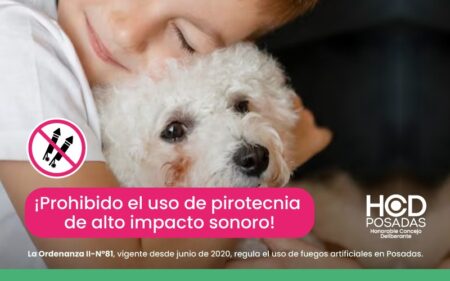 Se recuerda que está prohibida la pirotecnia de alto impacto sonoro imagen-10