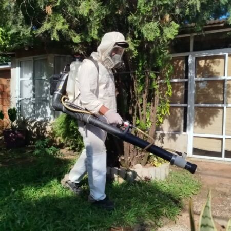 Intensifican las medidas de prevención contra el Dengue imagen-10