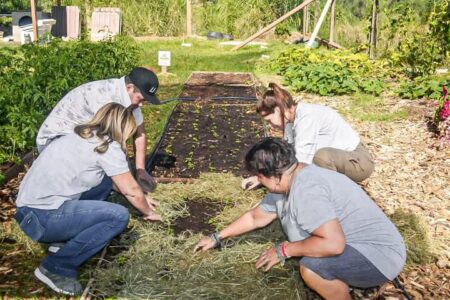 La Comuna posadeña brinda asistencia integral a los internos del Centro de Prevención de Adicciones imagen-5